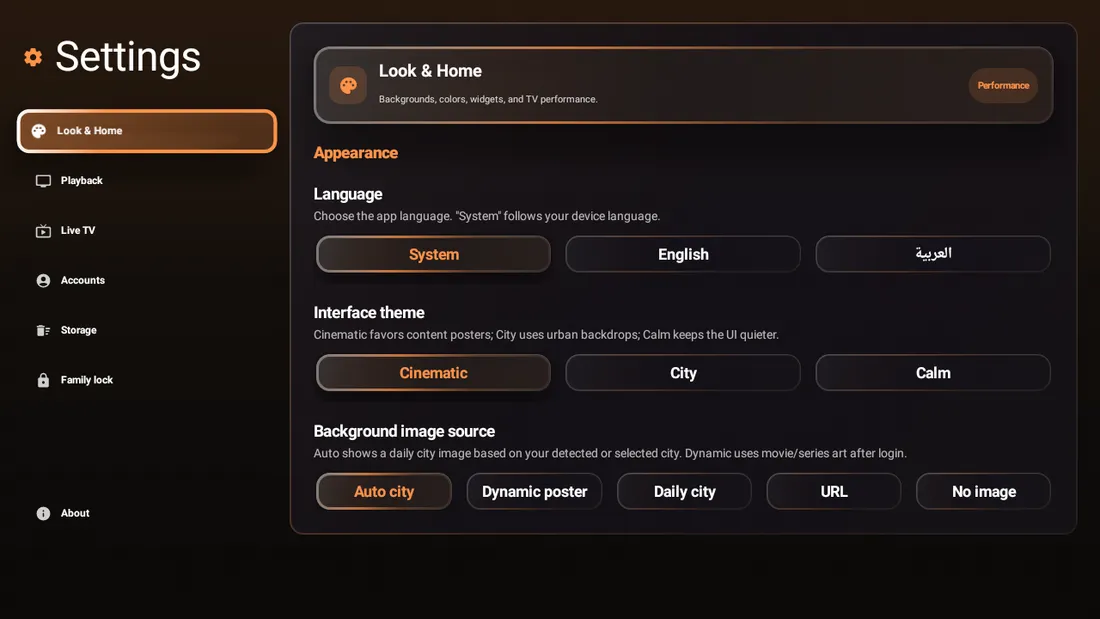 MoPlayer Pro settings screen